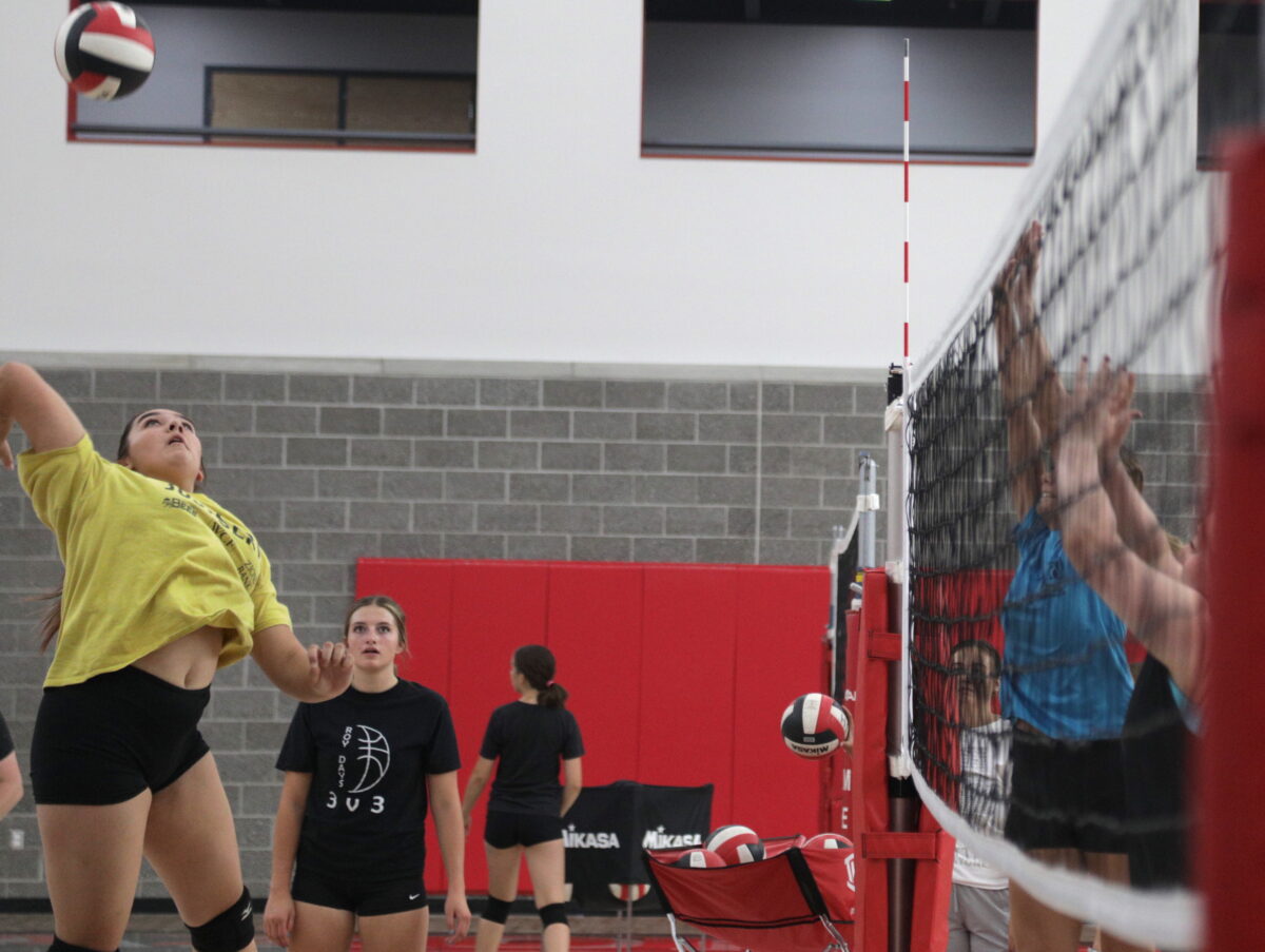 Prep volleyball Resurgent Roy enjoying life in Region 2 News, Sports